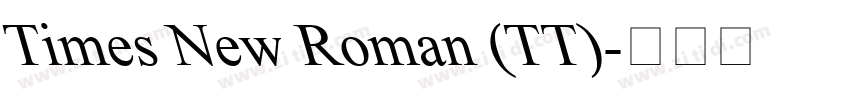 Times New Roman (TT)字体转换